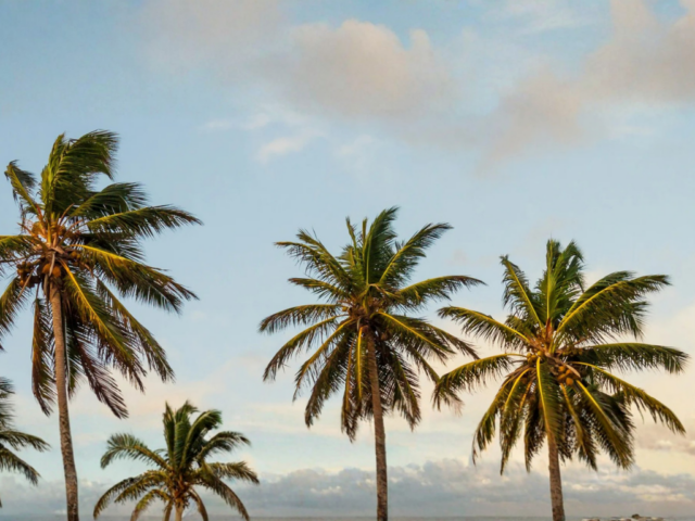 Why Summer Is When Good Habits Matter Most