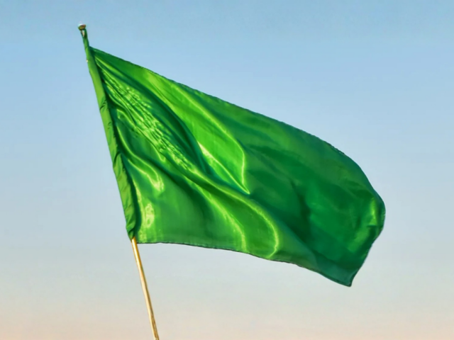 Green Flags Worth Looking for in a New Job